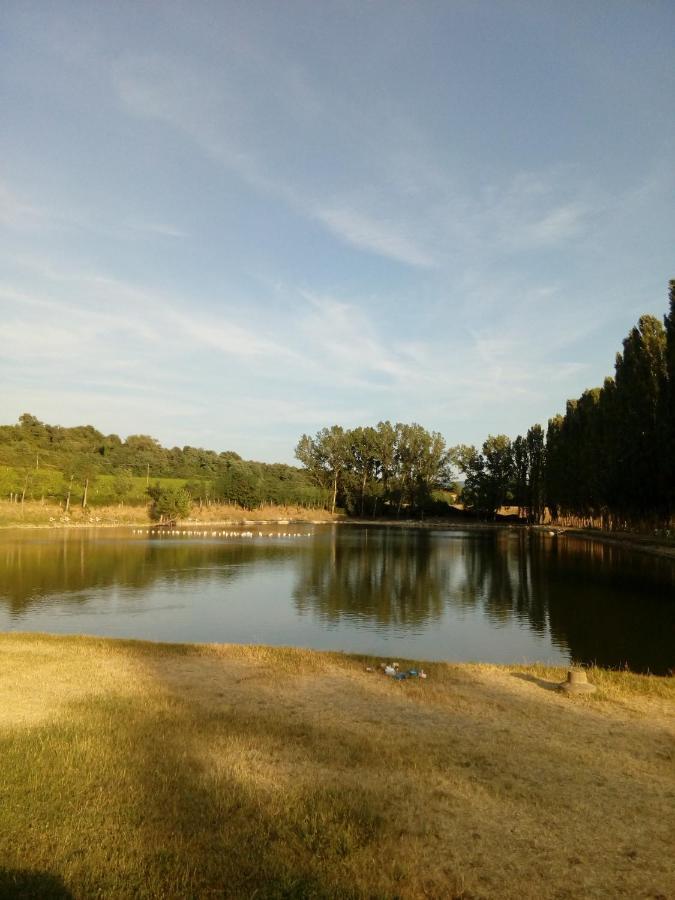 Appartamento Antica dimora figli di Bocco Castiglion Fibocchi Esterno foto