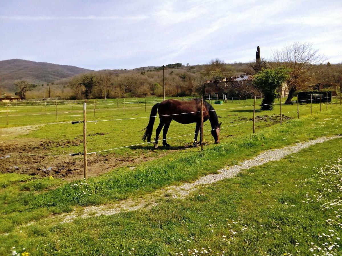 Appartamento Antica dimora figli di Bocco Castiglion Fibocchi Esterno foto