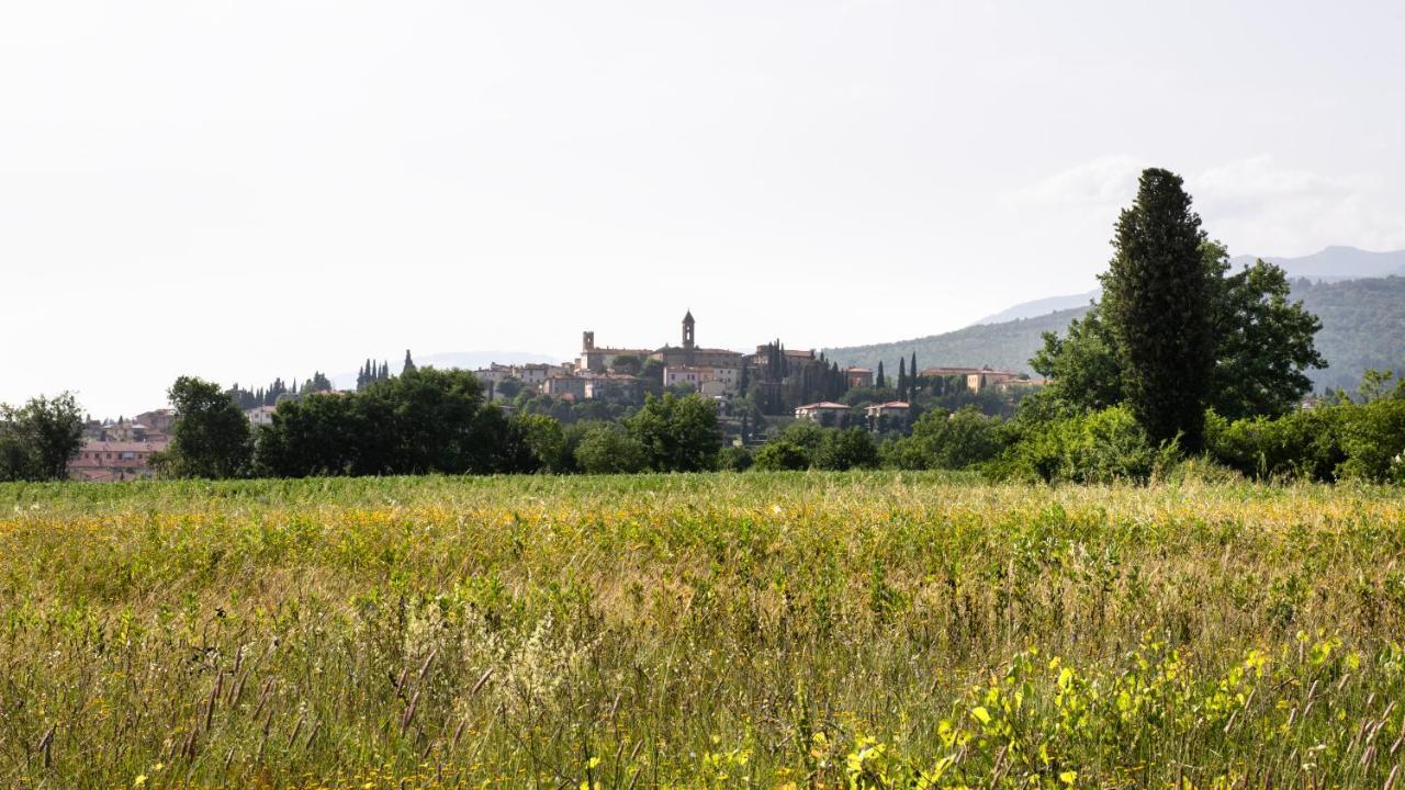 Appartamento Antica dimora figli di Bocco Castiglion Fibocchi Esterno foto